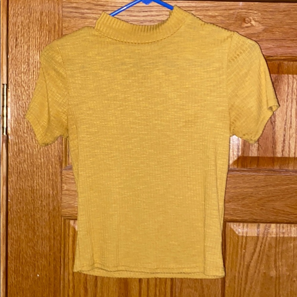 cropped t-shirt